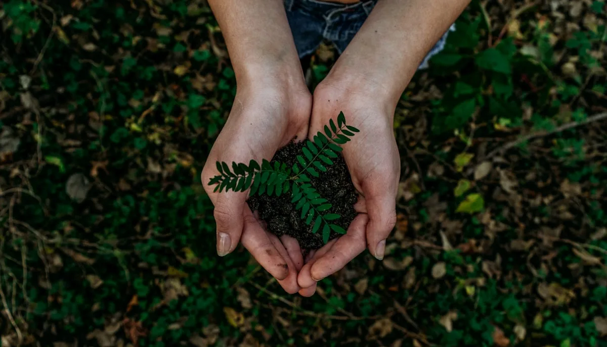 Illustration for the post: Sustainable Hotel Practices That Save Money